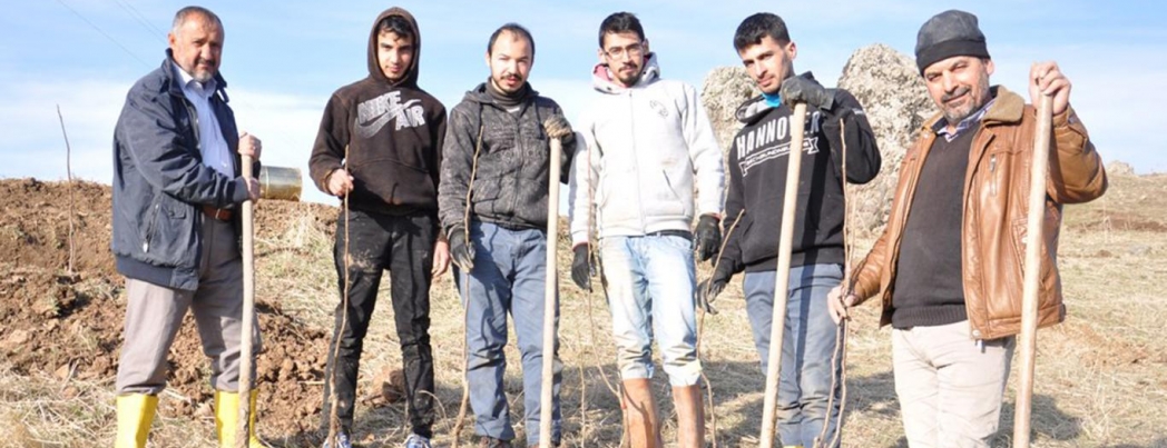 Çiftçiler yeni ürün için ceviz ekimine başladı