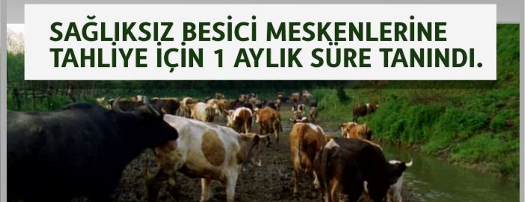 Sağlıksız besici barınaklarına 1 ay süre tanındı