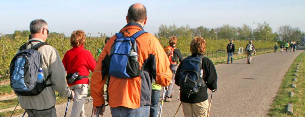 Pulmoner rehabilitasyon nedir?