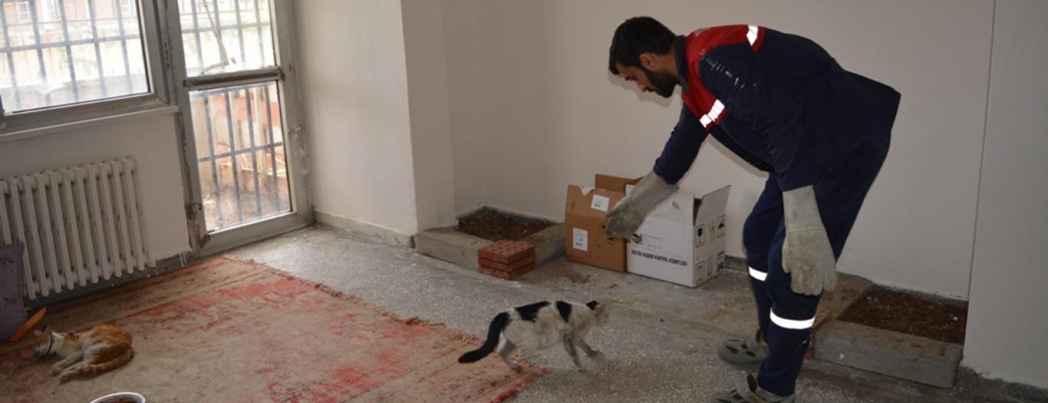 Binadan düşen kedi tedavi altına alındı