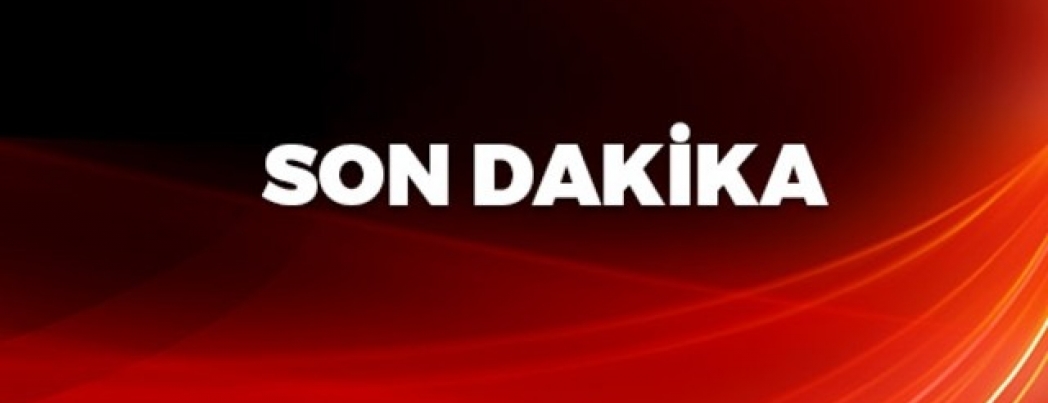 HDP\'li Aslan gözaltına alındı