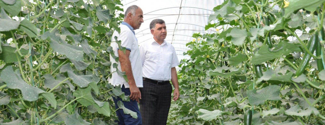 \"Bölgede seracılık gittikçe yaygınlaşıyor\"