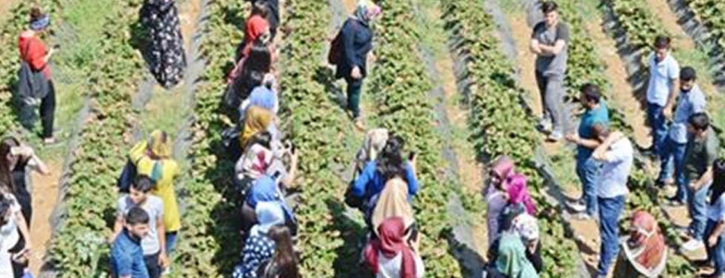 Stajyer öğrenciler için teknik gezi düzenlendi