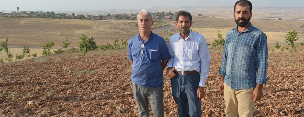 \"Tapulu tarlamızı vakıf arazisi yapmışlar\"