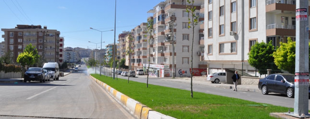Bulvar ve Refüjler kışın da yeşil kalacak