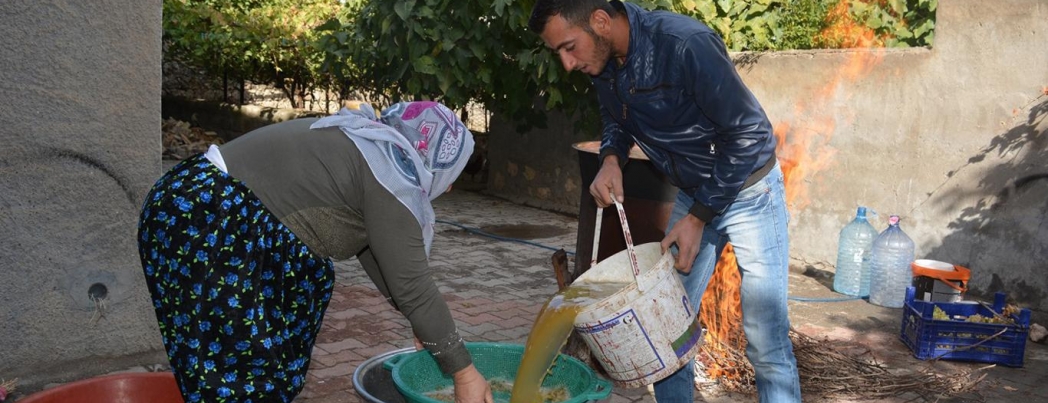 Üzümün pekmeze \"tatlı\" yolculuğu başladı