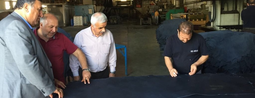 Türkiye’de, toplam 227.386.839 -$ değerinde büyükbaş hayvan derisi ithalatı yaptı.