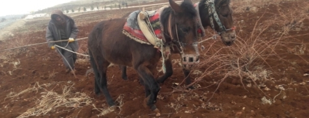 Gercüş Köyleri Karasaban’dan Vazgeçmiyor