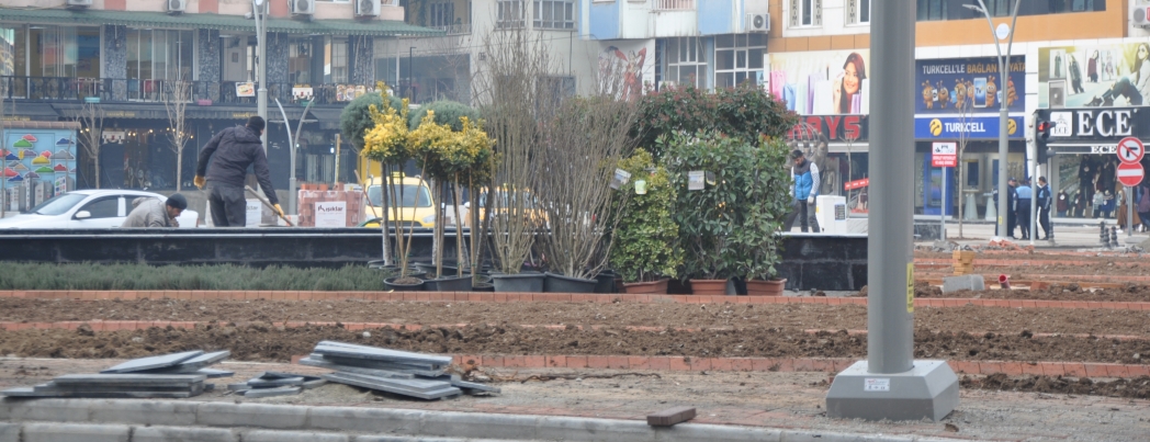 BASIN KAVŞAĞINA PALMİYE AĞAÇLARI DİKİLDİ