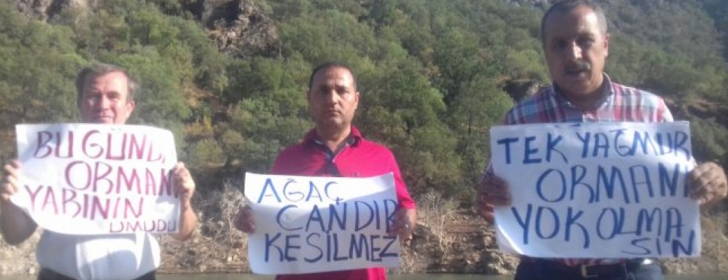 ‘Ormanlık alanımız acilen koruma altına alınsın’