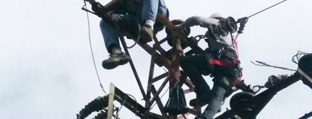 Dicle Elektrik Borçlu Çiftçilerin Elektriğini Kesiyor