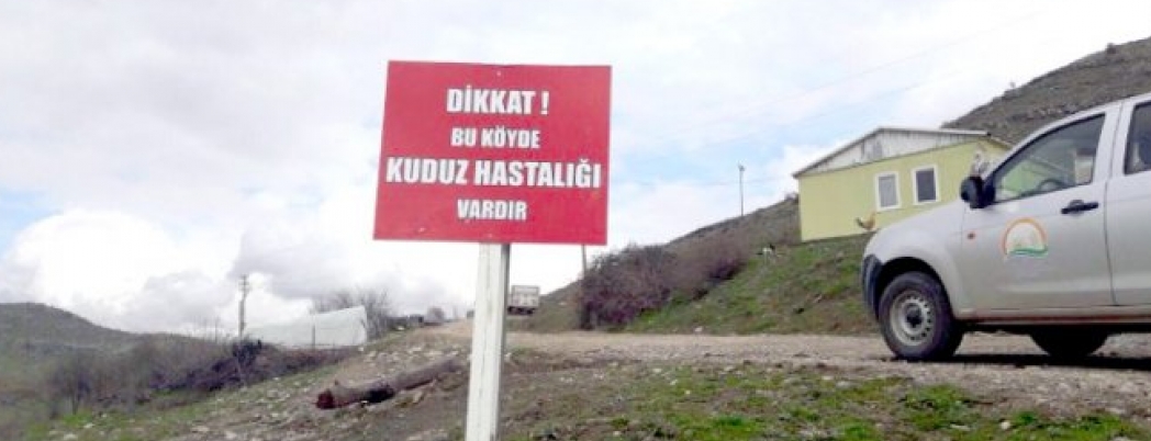 Bu köy kuduz nedeniyle Karantina’da