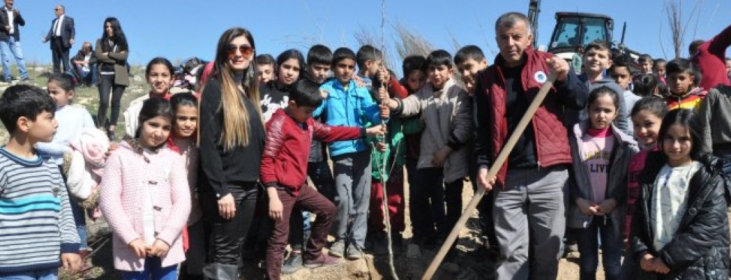 Batman İlkokulu Öğrencileri, Kampüste fidan dikti