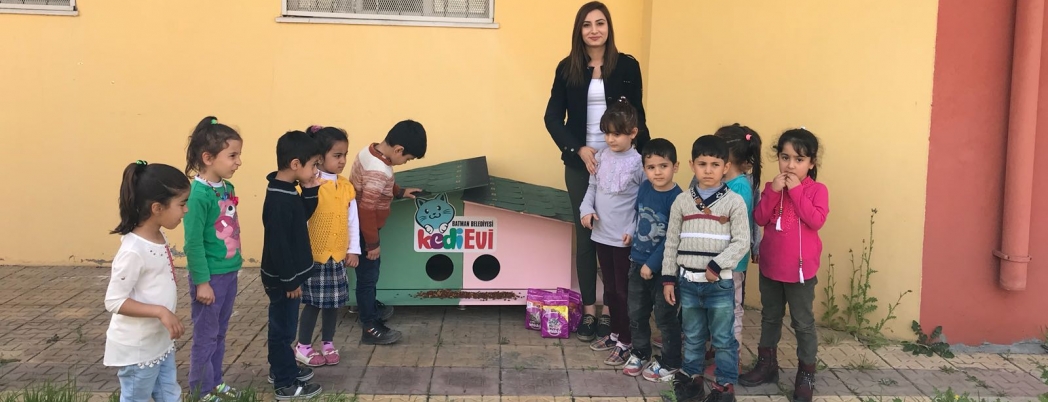 Belediyeden sokak kedilerini sevdirecek proje