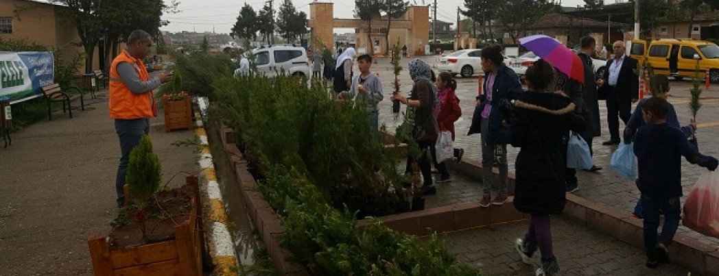 BELEDİYEDEN ‘HER MEZARIN BİR AĞACI OLSUN’ KAMPANYASI
