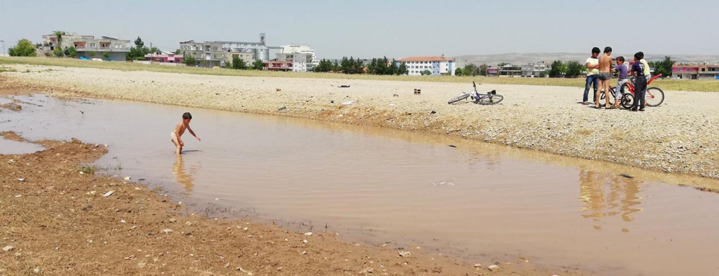 Tepkilere aldırmadan çamurlu suda yüzdüler