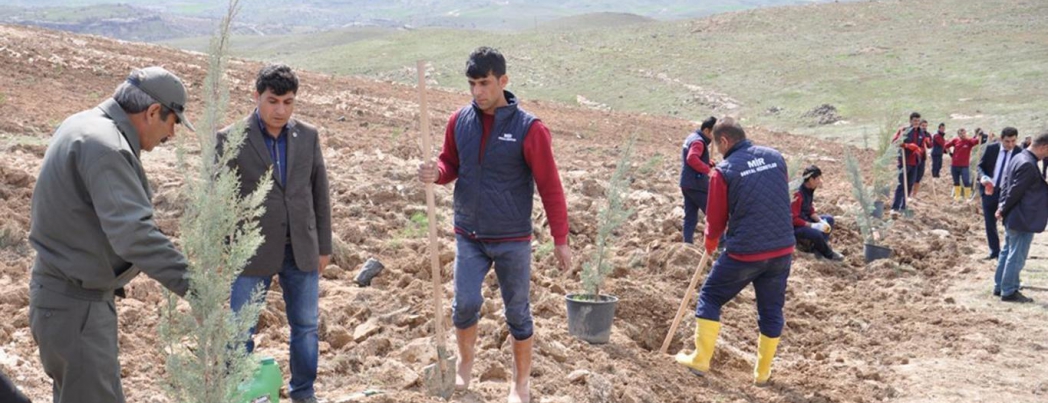 Her insan için bir fidan dikiliyor
