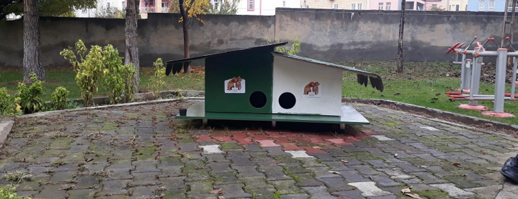 Belediyeden kedi evleri projesi