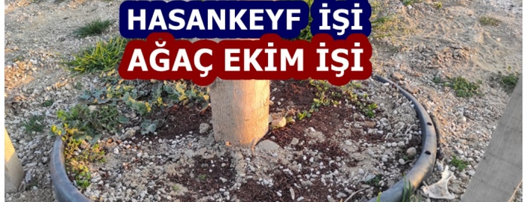 HASANKEYF’TE YEŞİLE KIYILIYOR