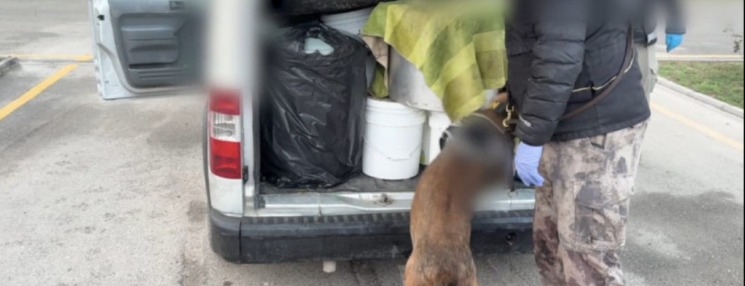 KIZARTMA YAĞINDAN UYUŞTRURUCU ÇIKTI