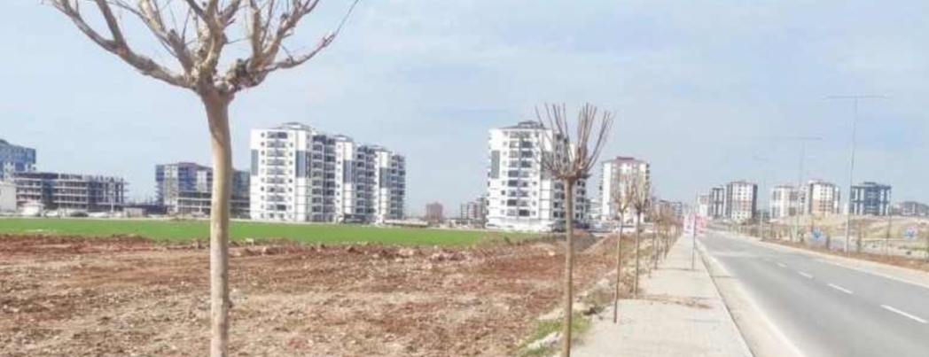 HASANKEYF YOLUNA YEN� A�A�LAR D�K�L�YOR