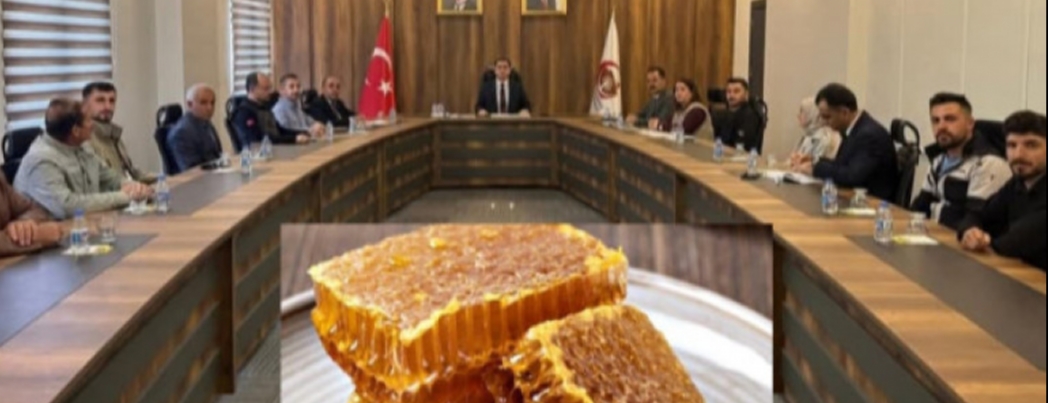 SASON BALINDA HEDEF B�Y�ME VE KAL�TE