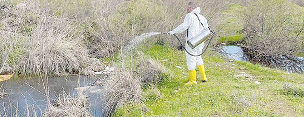 LARVA MÜCADELESİ ÇALIŞMALARI SÜRÜYOR