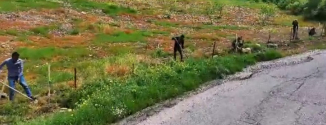 HASANKEYF'E YE��L DOKUNU�