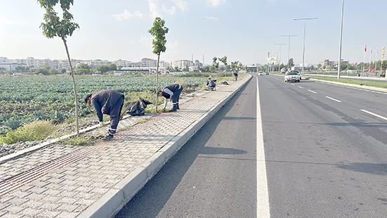 BULVAR BOYUNCA AĞAÇ DİPLERİ TEMİZLENİYOR
